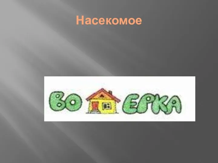 Насекомое