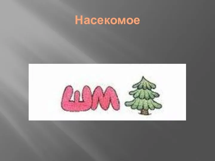 Насекомое