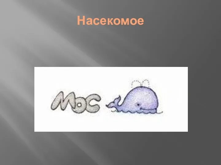 Насекомое