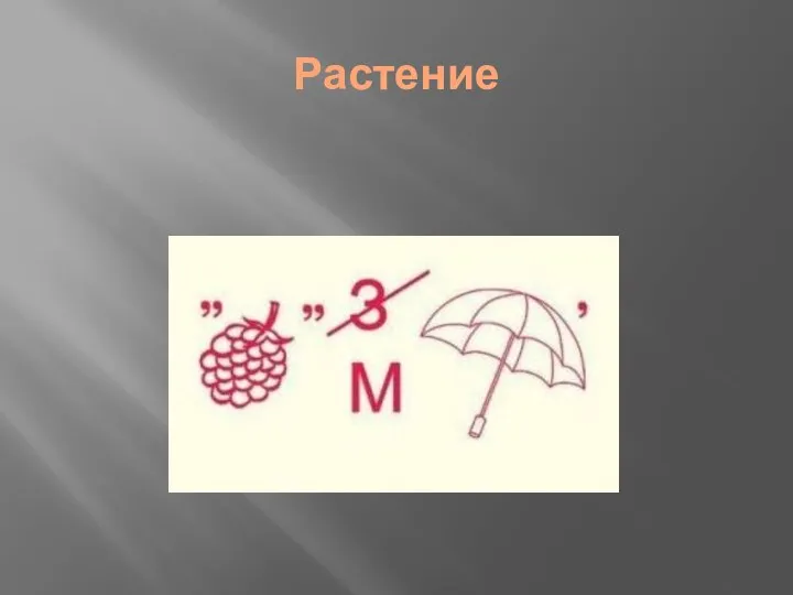 Растение