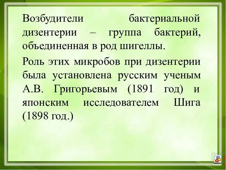 Возбудители бактериальной дизентерии – группа бактерий, объединенная в род шигеллы. Роль этих