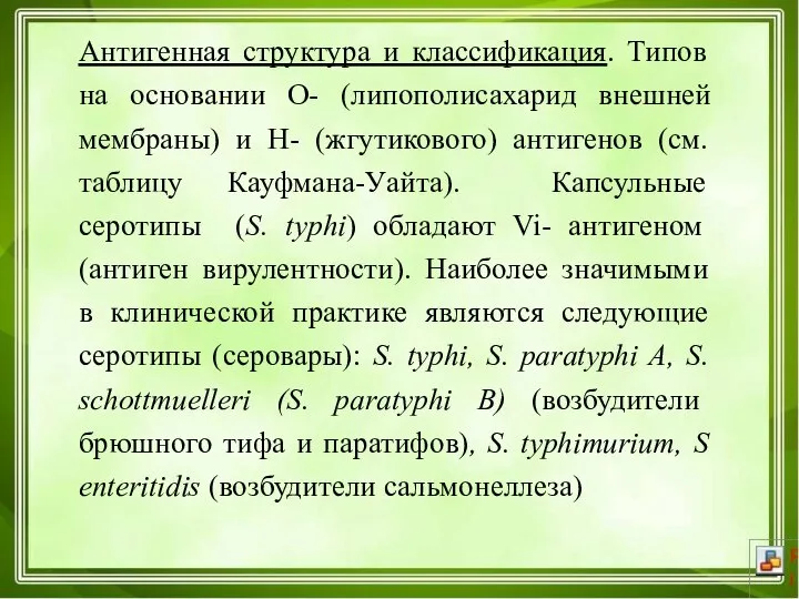 Антигенная структура и классификация. Типов на основании О- (липополисахарид внешней мембраны) и