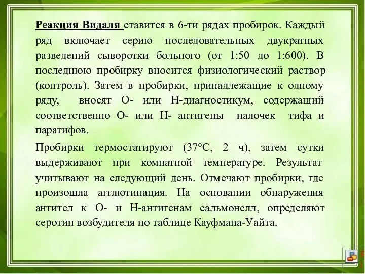 Реакция Видаля ставится в 6-ти рядах пробирок. Каждый ряд включает серию последовательных