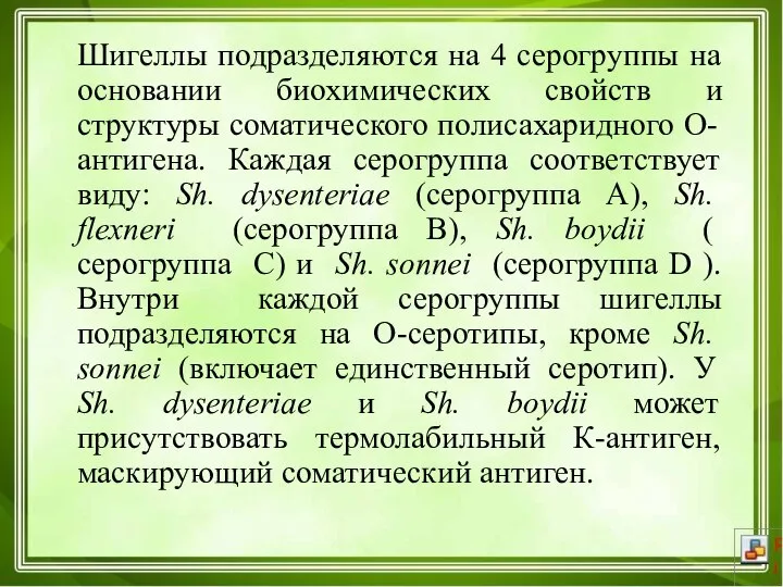 Шигеллы подразделяются на 4 серогруппы на основании биохимических свойств и структуры соматического