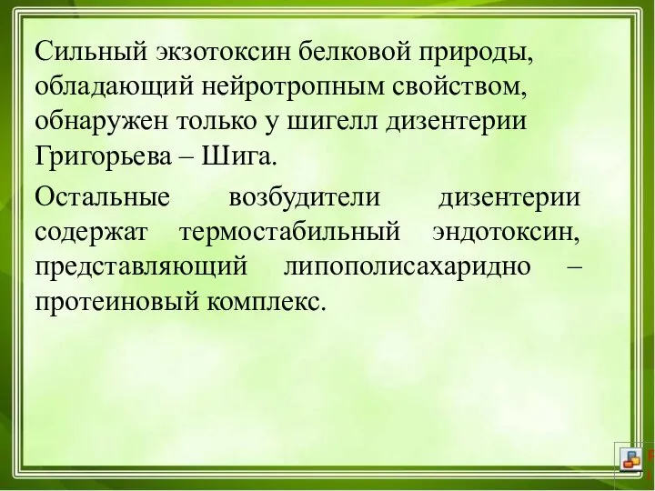 Сильный экзотоксин белковой природы, обладающий нейротропным свойством, обнаружен только у шигелл дизентерии