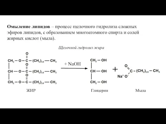 Омыление липидов – процесс щелочного гидролиза сложных эфиров липидов, с образованием многоатомного