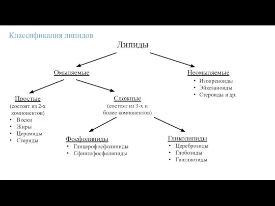 Классификация липидов Липиды Неомыляемые Омыляемые Изопреноиды Эйкозаноиды Стероиды и др. Простые (состоят