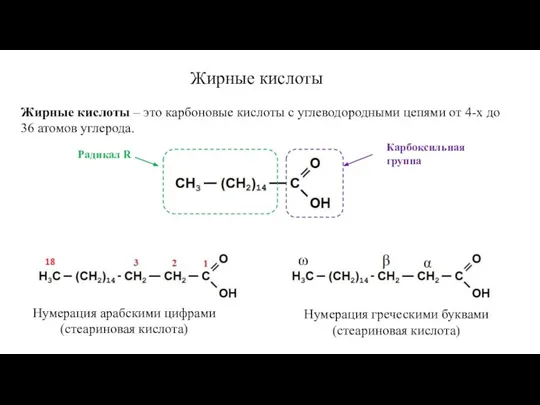 Жирные кислоты Жирные кислоты – это карбоновые кислоты с углеводородными цепями от