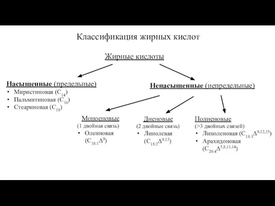 Жирные кислоты Насыщенные (предельные) Миристиновая (С14) Пальмитиновая (С16) Стеариновая (С18) Ненасыщенные (непредельные)