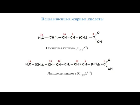 Ненасыщенные жирные кислоты Олеиновая кислота (С18:1Δ9) Линолевая кислота (С18:2Δ9,12)