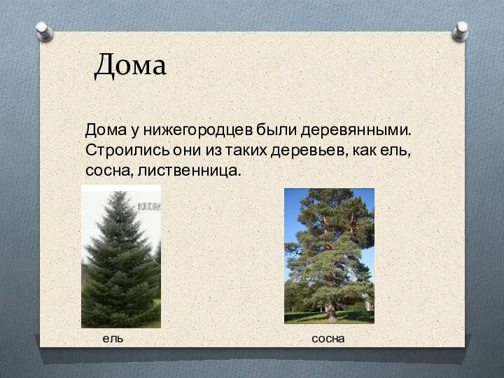 Дома Дома у нижегородцев были деревянными. Строились они из таких деревьев, как