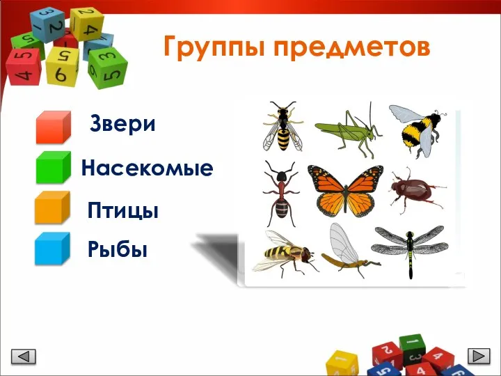 Группы предметов Птицы Звери Рыбы Насекомые