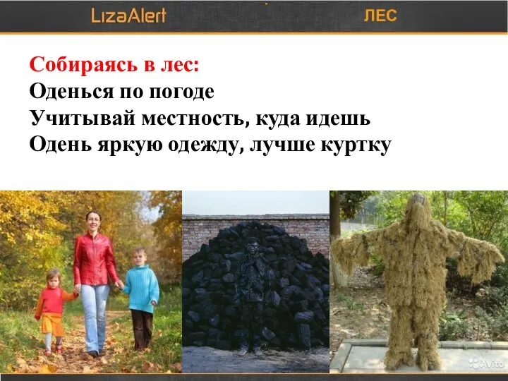 ЛЕС Собираясь в лес: Оденься по погоде Учитывай местность, куда идешь Одень яркую одежду, лучше куртку