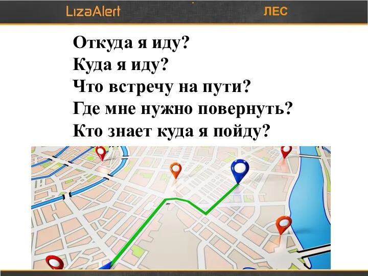 ЛЕС Откуда я иду? Куда я иду? Что встречу на пути? Где