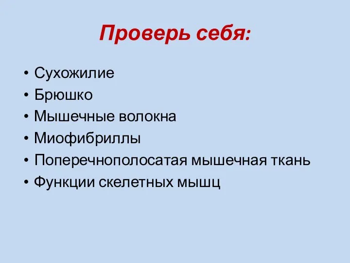 Проверь себя: Сухожилие Брюшко Мышечные волокна Миофибриллы Поперечнополосатая мышечная ткань Функции скелетных мышц