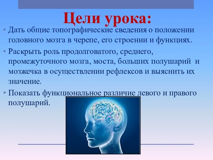Цели урока: Дать общие топографические сведения о положении головного мозга в черепе,