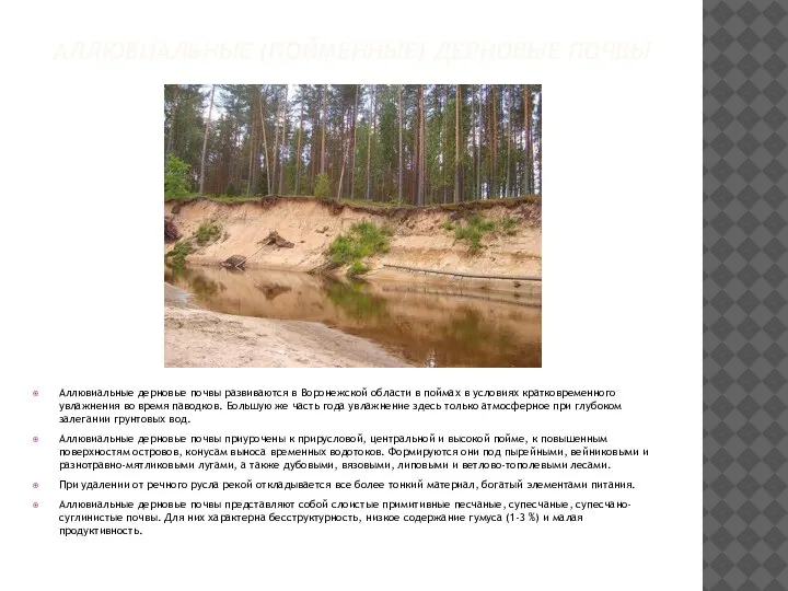 АЛЛЮВИАЛЬНЫЕ (ПОЙМЕННЫЕ) ДЕРНОВЫЕ ПОЧВЫ Аллювиальные дерновые почвы развиваются в Воронежской области в