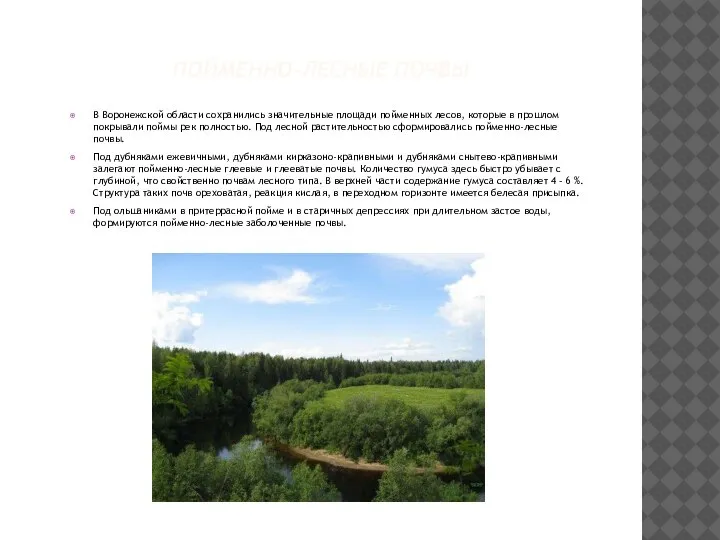 ПОЙМЕННО-ЛЕСНЫЕ ПОЧВЫ В Воронежской области сохранились значительные площади пойменных лесов, которые в