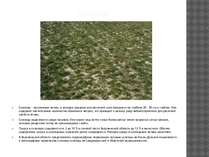 СОЛОНЦЫ Солонцы – засоленные почвы, в которых вредные для растений соли находятся