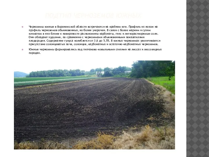 ПОДТИП ЧЕРНОЗЕМОВ ЮЖНЫХ Черноземы южные в Воронежской области встречаются на крайнем юге.