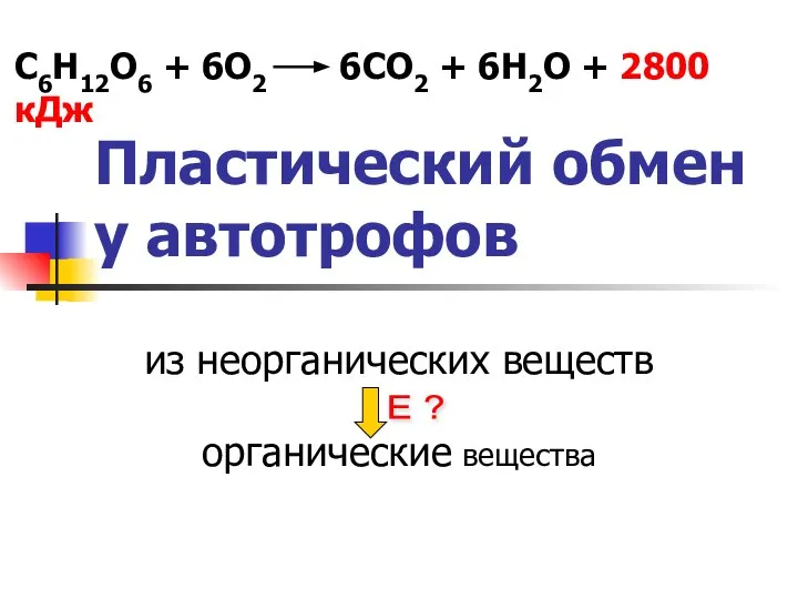 Пластический обмен у автотрофов из неорганических веществ органические вещества Е ? С6Н12О6