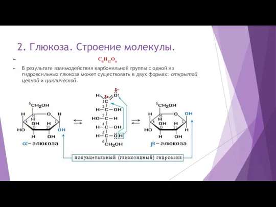 2. Глюкоза. Строение молекулы. C6H12O6 В результате взаимодействия карбонильной группы с одной