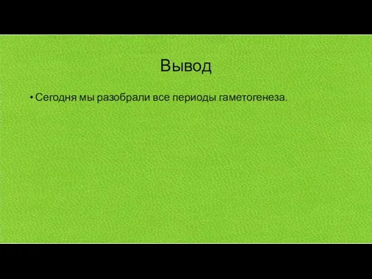 Вывод Сегодня мы разобрали все периоды гаметогенеза.