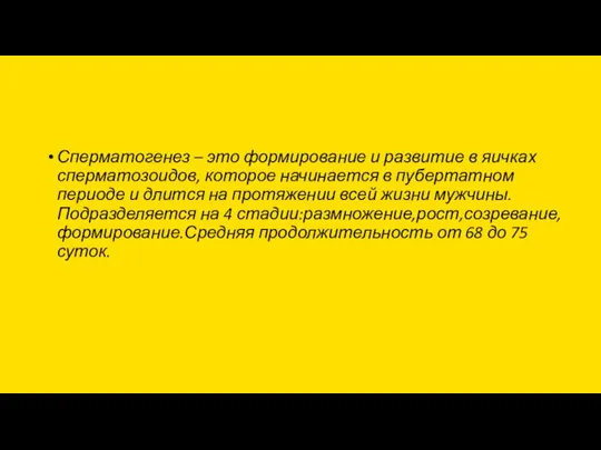 Сперматогенез – это формирование и развитие в яичках сперматозоидов, которое начинается в