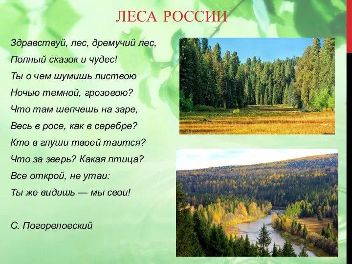 ЛЕСА РОССИИ Здравствуй, лес, дремучий лес, Полный сказок и чудес! Ты о