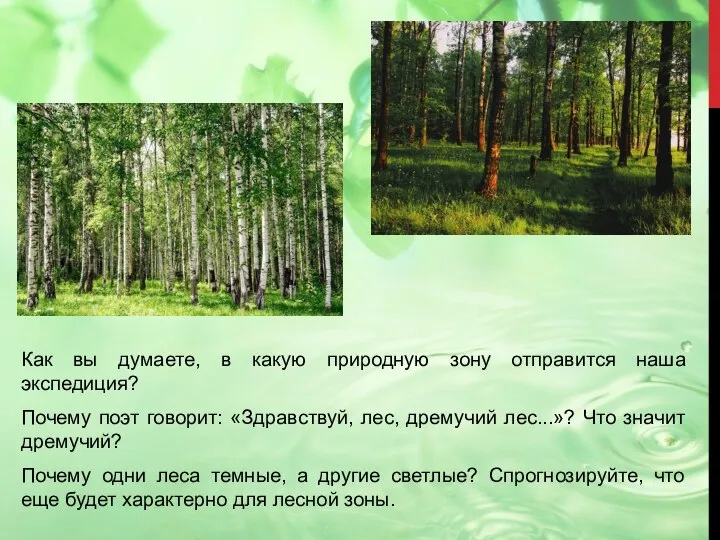 Как вы думаете, в какую природную зону отправится наша экспедиция? Почему поэт