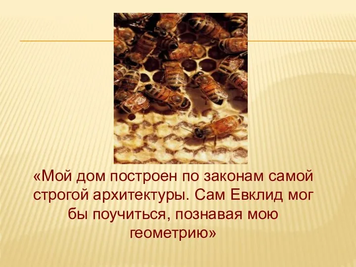 «Мой дом построен по законам самой строгой архитектуры. Сам Евклид мог бы поучиться, познавая мою геометрию»