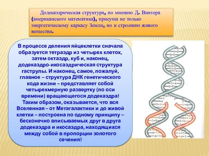 Додекаэдрическая структура, по мнению Д. Винтера (американского математика), присуща не только энергетическому