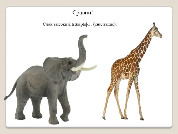 Сравни! Слон высокий, а жираф… (еще выше).