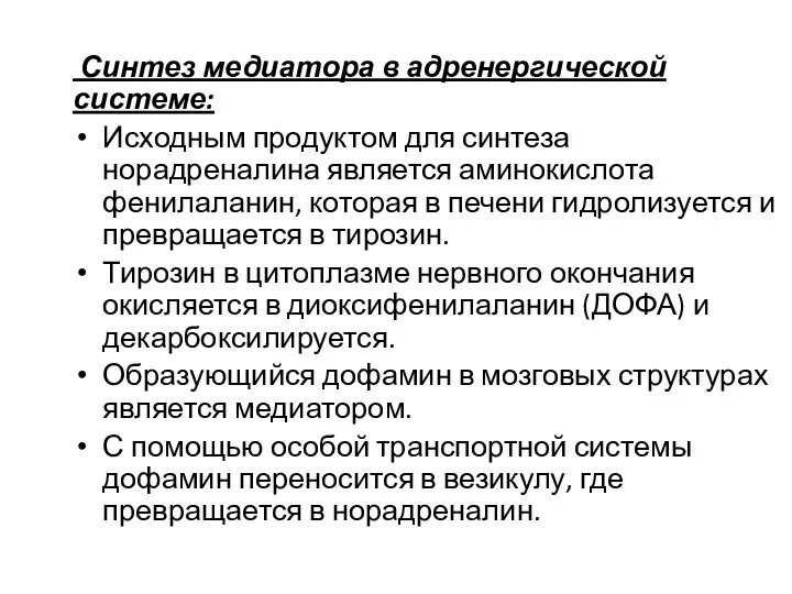 Синтез медиатора в адренергической системе: Исходным продуктом для синтеза норадреналина является аминокислота