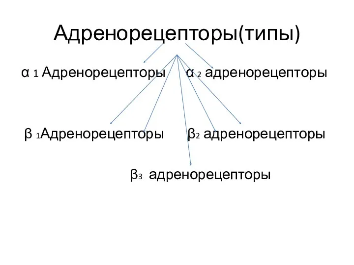 Адренорецепторы(типы) α 1 Адренорецепторы α 2 адренорецепторы β 1Адренорецепторы β2 адренорецепторы β3 адренорецепторы