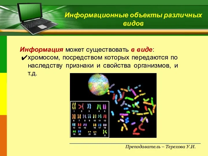 Преподаватель – Терехова У.И. Информационные объекты различных видов Информация может существовать в