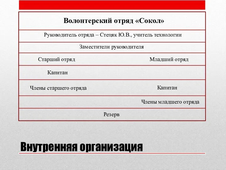 Внутренняя организация Старший отряд Младший отряд Волонтерский отряд «Сокол» Капитан Капитан Члены