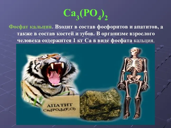 Ca3(PO4)2 Фосфат кальция. Входит в состав фосфоритов и апатитов, а также в