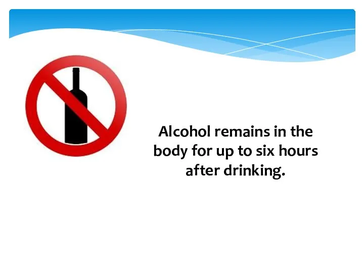 Alcohol remains in the body for up to six hours after drinking.