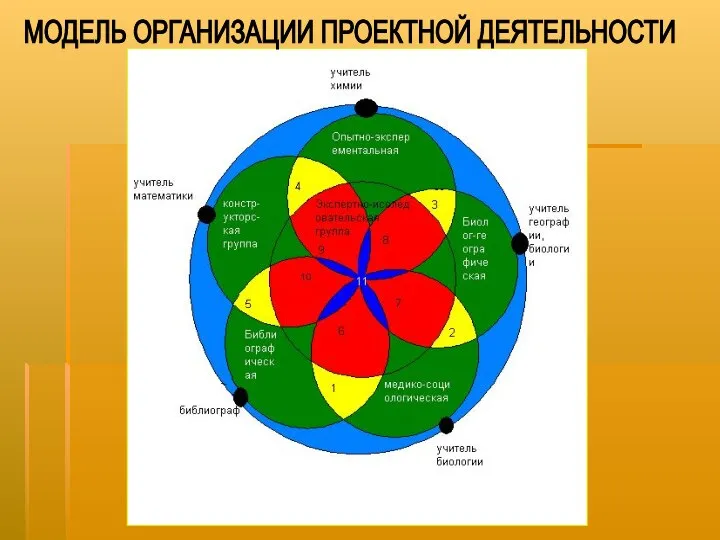 МОДЕЛЬ ОРГАНИЗАЦИИ ПРОЕКТНОЙ ДЕЯТЕЛЬНОСТИ