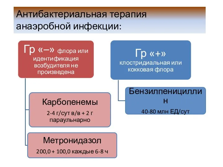 Антибактериальная терапия анаэробной инфекции: