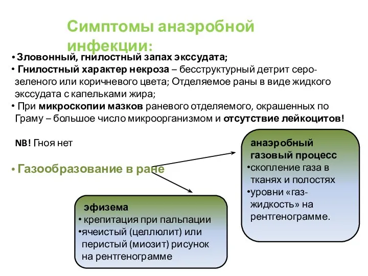 Симптомы анаэробной инфекции: Зловонный, гнилостный запах экссудата; Гнилостный характер некроза – бесструктурный