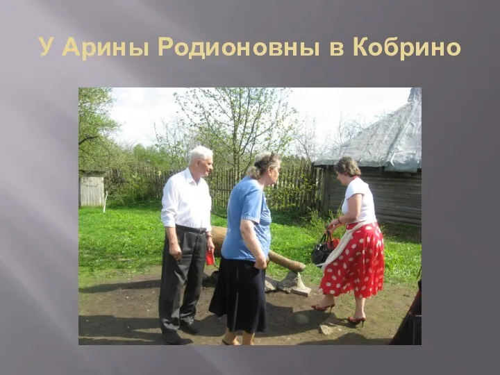 У Арины Родионовны в Кобрино