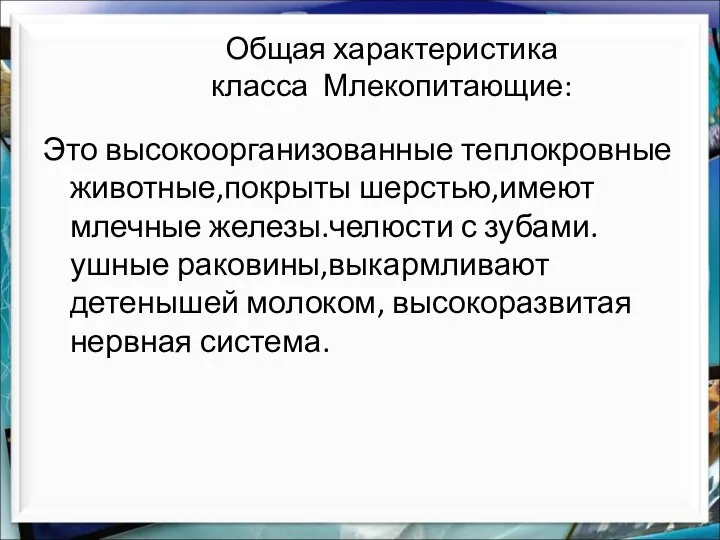 Общая характеристика класса Млекопитающие: Это высокоорганизованные теплокровные животные,покрыты шерстью,имеют млечные железы.челюсти с