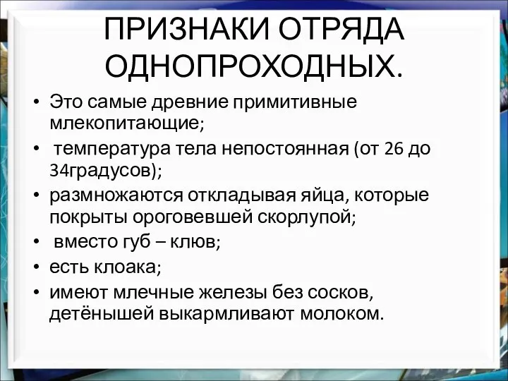 ПРИЗНАКИ ОТРЯДА ОДНОПРОХОДНЫХ. Это самые древние примитивные млекопитающие; температура тела непостоянная (от