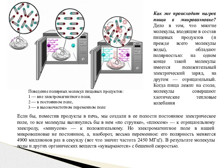 Поведение полярных молекул пищевых продуктов: 1 — вне электромагнитного поля, 2 —