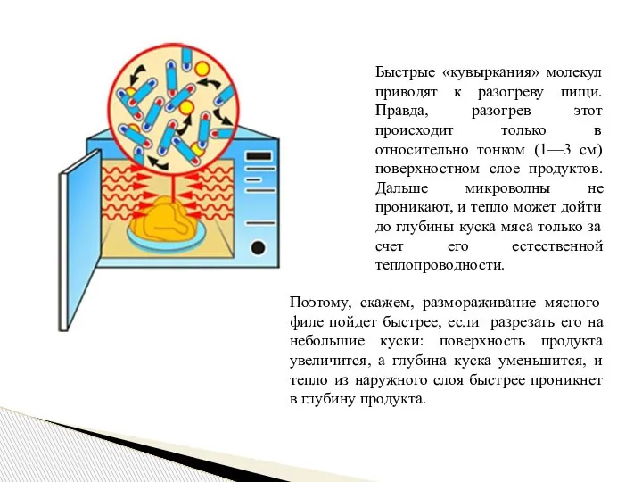 Быстрые «кувыркания» молекул приводят к разогреву пищи. Правда, разогрев этот происходит только