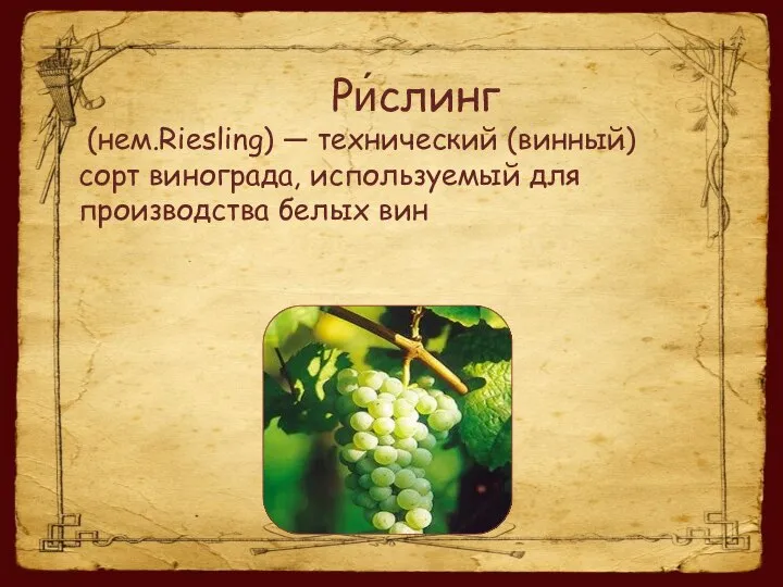 Ри́слинг (нем.Riesling) — технический (винный) сорт винограда, используемый для производства белых вин