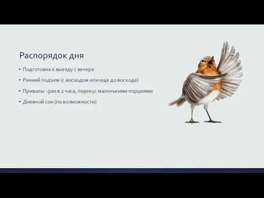 Распорядок дня Подготовка к выезду с вечера Ранний подъем (с восходом или