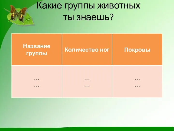 Какие группы животных ты знаешь?